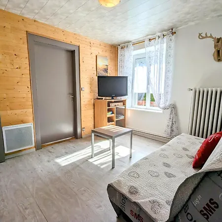Cosy A Avec Terrasse Et Parking, Animaux Admis - Fr-1-589-689 * La Bresse